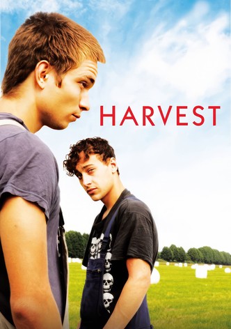 Harvest