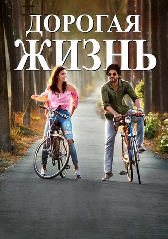 Дорогой Зиндаги