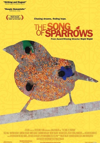 La canción de los gorriones