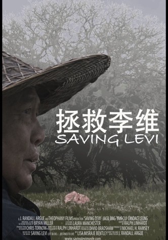 Saving Levi