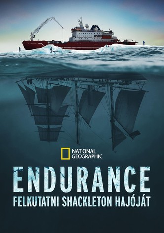 Endurance: Felkutatni Shackleton hajóját