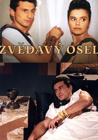 Zvedavý osel