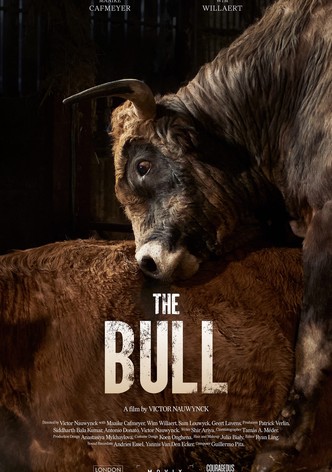 The Bull