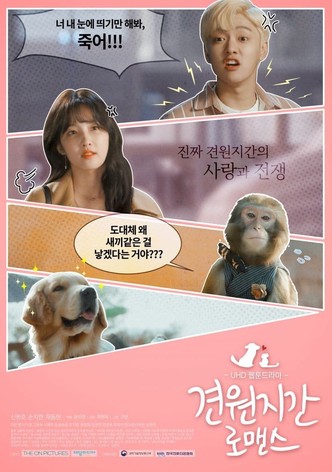 견원지간 로맨스
