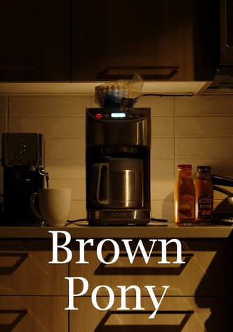 Brown Pony