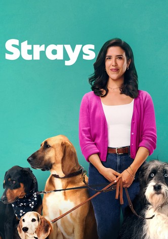 Strays - Season 2