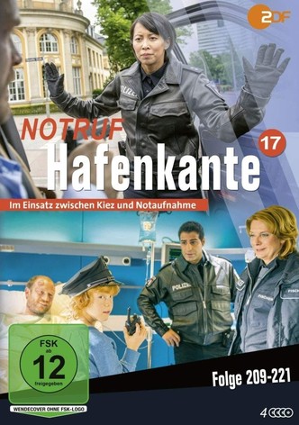 Staffel 17