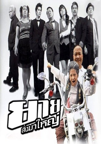 ยายสั่งมาใหญ่
