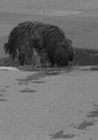 Puddles, I Don't Know