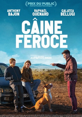 Caine Feroce