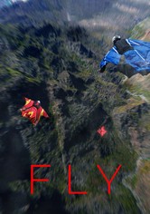 Fly