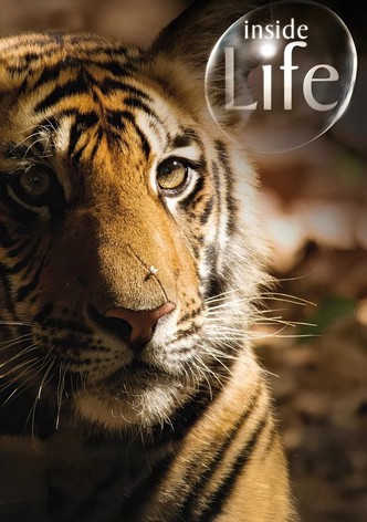 Inside Life