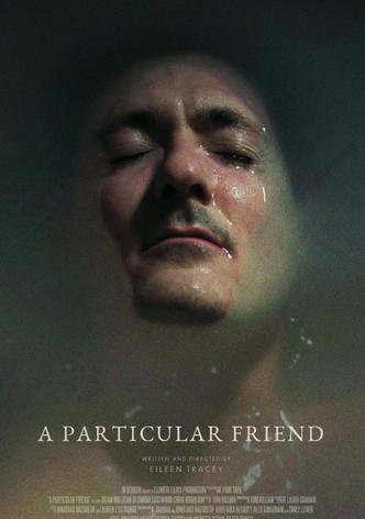 A Particular Friend