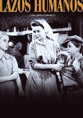 Lazos humanos