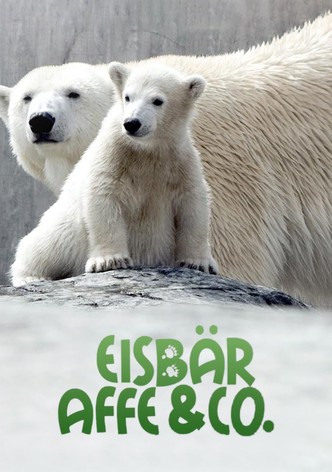 Eisbär, Affe & Co.