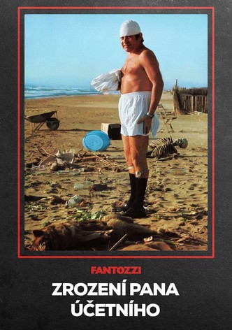 Zrození pana účetního