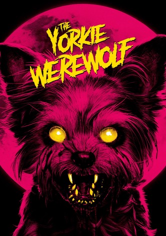 The Yorkie Werewolf