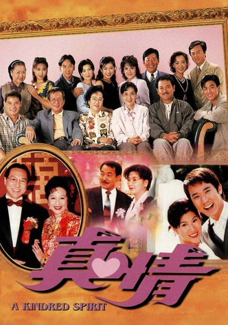 真情