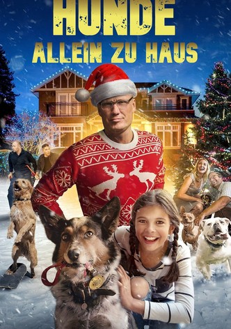 Hunde - Allein zu Haus