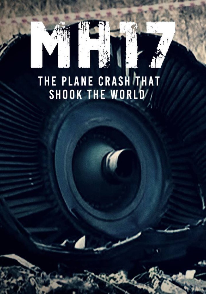 MH17: The Plane Crash That Shook The World