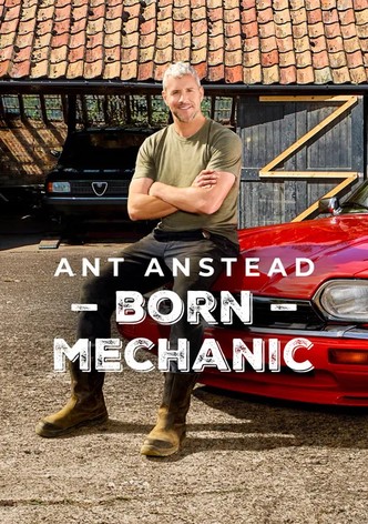 Ant Anstead: Rozený mechanik - Řada 2