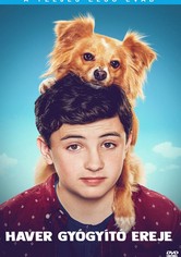 Haver gyógyító ereje