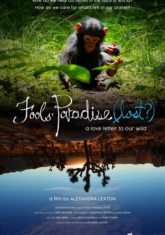 Fools' Paradise (lost?)