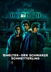 Shelter – Der schwarze Schmetterling