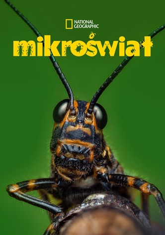 Mikroświat