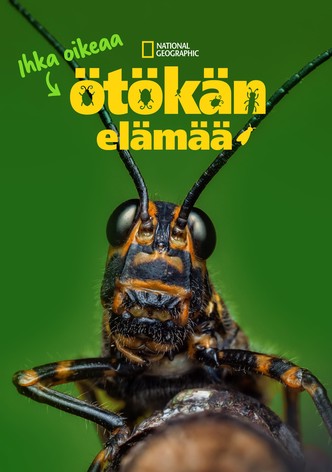 Ihka oikeaa Ötökän Elämää