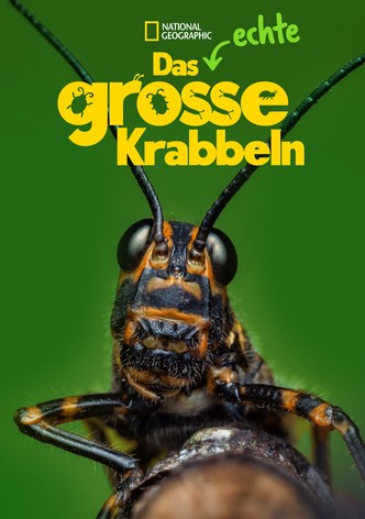 Das echte große Krabbeln