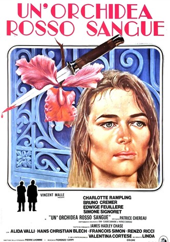 Un'orchidea rosso sangue