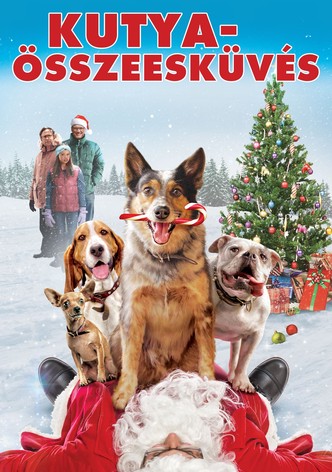 Kutyaösszeesküvés