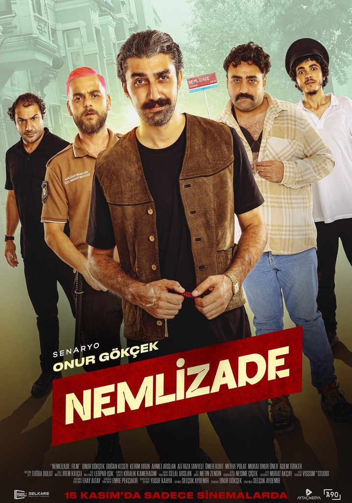 Nemlizade