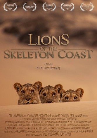 Lions of the Skeleton Coast
