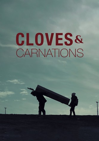 Cloves & Carnations