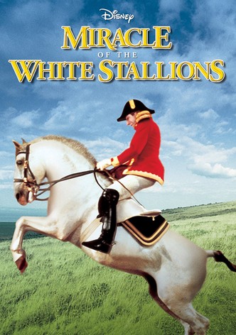 Miracle of the White Stallions
