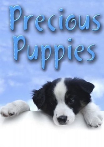 Alexander Prächtig, der singende Hund