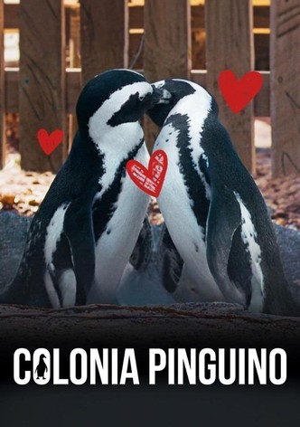 Colonia Pingüino