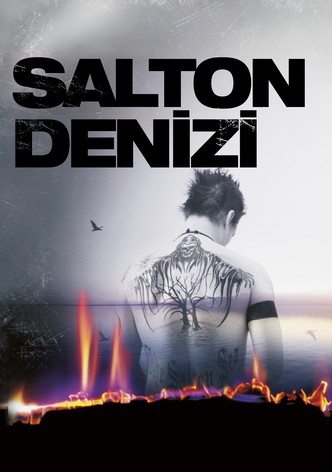 Salton Denizi