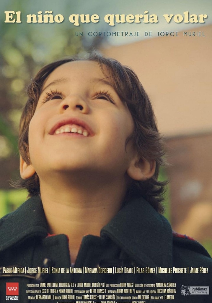 The Boy Who Wanted to Fly