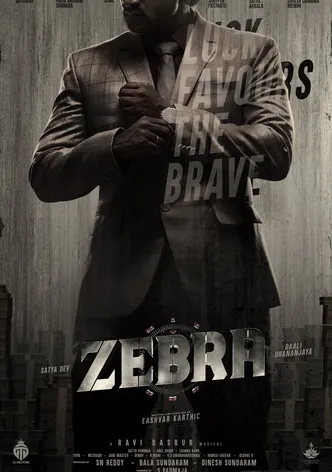 Zebra poster