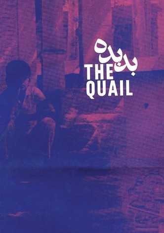 The Quail: The Tale of a Boy Who Asks