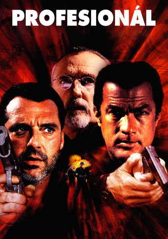 Profesionál