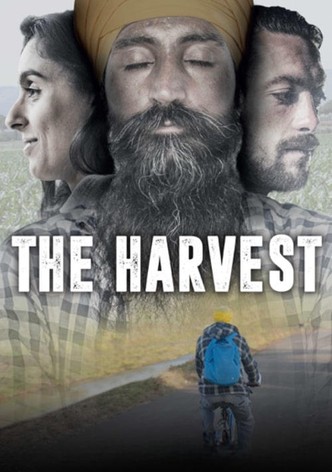 The Harvest