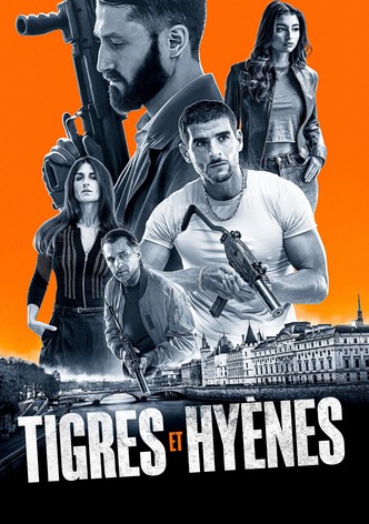 Tigres et Hyènes