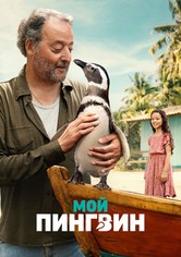 Мой пингвин