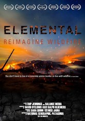 Elemental: Reimagine Wildfire