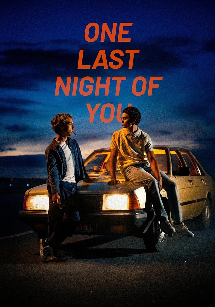 One Last Night of You