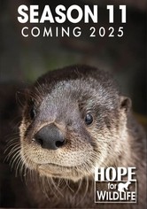 Hope for Wildlife - Season 11